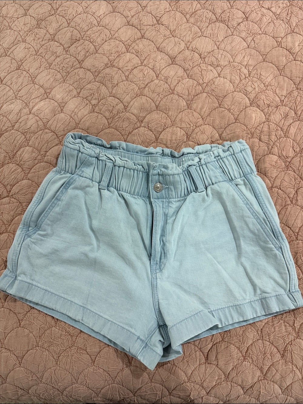 American Eagle Outfitters Light Blue Paperbag Waist Casual Shorts